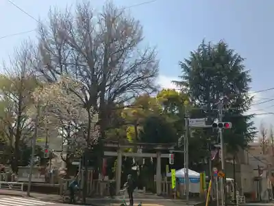 鳩森八幡神社の鳥居