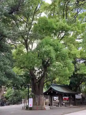 平塚八幡宮(神奈川県)