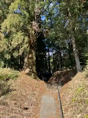 村山浅間神社(静岡県)