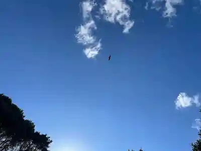 竹ノ子島天満宮(山口県)