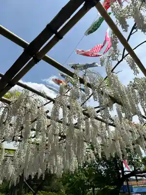 白旗神社(神奈川県)