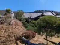 妙遠寺のその他建物