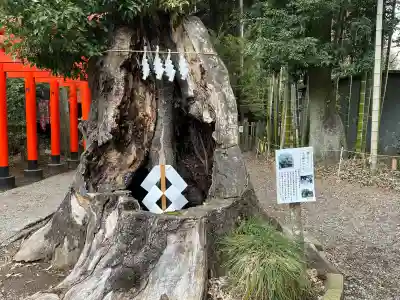 常磐神社の{uncategorized: "未分類", other: "その他", undefined: "問題あり", building: "その他建物", grave: "お墓", sacred_gate: "鳥居", guardian: "狛犬", statue: "像", buddha: "仏像", history: "歴史", nature: "自然", garden: "庭園", animal: "動物", pagoda: "塔", temizu: "手水舎", mountain_gate: "山門・神門", sanctuary: "本殿・本堂", subordinate: "末社・摂社", art: "芸術", scenery: "景色", jizo: "地蔵", ema: "絵馬", goshuin: "御朱印", omikuji: "おみくじ", items: "授与品その他", amulet: "お守り", goshuincho: "御朱印帳", eats: "食事", festival: "お祭り", votive_dance: "神楽", shichigosan: "七五三参", wedding: "結婚式", experience: "体験その他", initially: "初詣", around: "周辺", anti_infection: "感染症対策"}