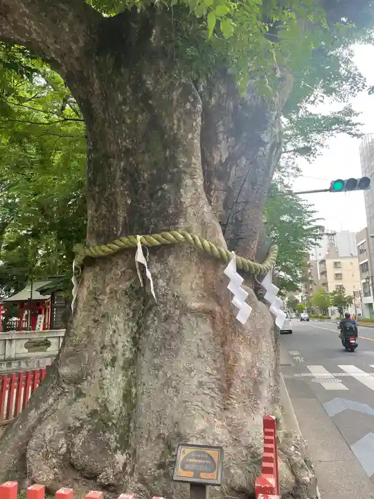 大國魂神社の自然