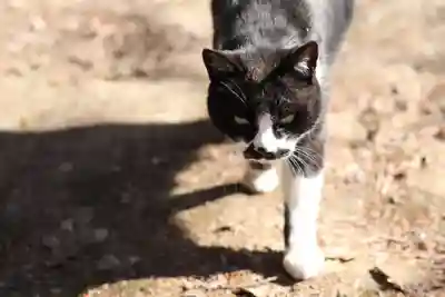 玉野御嶽神社(愛知県)
