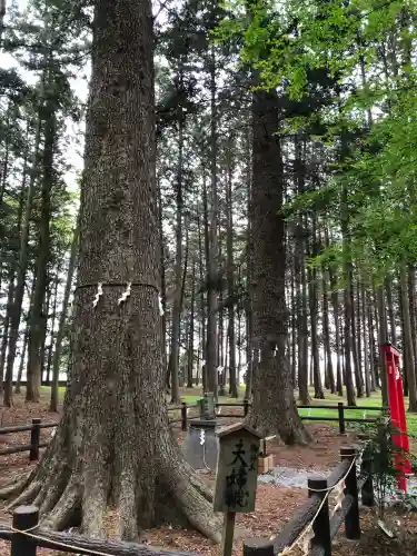 桃園神社(山梨県)
