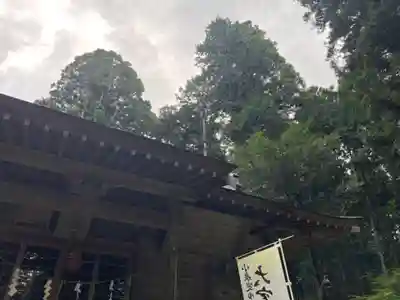 大宮温泉神社(栃木県)
