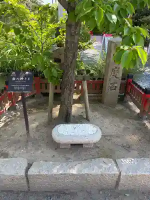 白山神社の{uncategorized: "未分類", other: "その他", undefined: "問題あり", building: "その他建物", grave: "お墓", sacred_gate: "鳥居", guardian: "狛犬", statue: "像", buddha: "仏像", history: "歴史", nature: "自然", garden: "庭園", animal: "動物", pagoda: "塔", temizu: "手水舎", mountain_gate: "山門・神門", sanctuary: "本殿・本堂", subordinate: "末社・摂社", art: "芸術", scenery: "景色", jizo: "地蔵", ema: "絵馬", goshuin: "御朱印", omikuji: "おみくじ", items: "授与品その他", amulet: "お守り", goshuincho: "御朱印帳", eats: "食事", festival: "お祭り", votive_dance: "神楽", shichigosan: "七五三参", wedding: "結婚式", experience: "体験その他", initially: "初詣", around: "周辺", anti_infection: "感染症対策"}