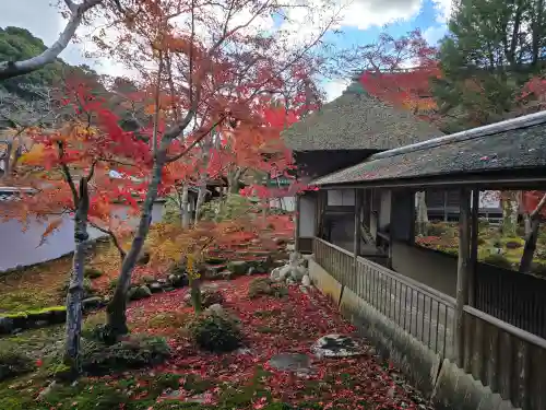 金剛寺(大阪府)