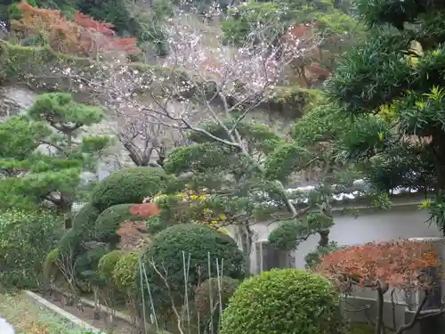 松嶺院の庭園