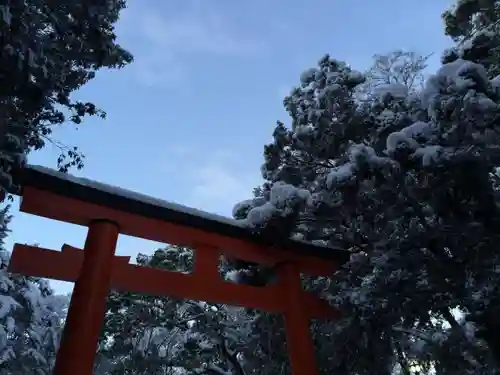 賀茂御祖神社（下鴨神社）の鳥居