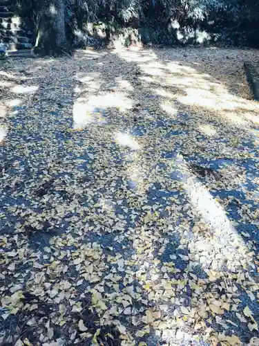 諏訪神社(神奈川県)