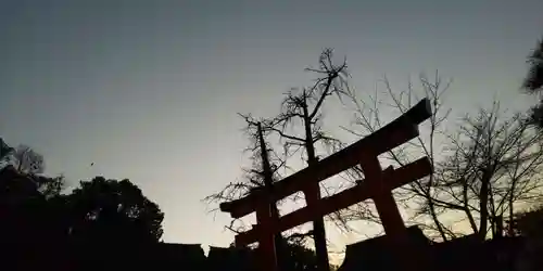 賀茂御祖神社（下鴨神社）の鳥居