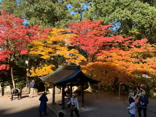 西明寺の手水舎