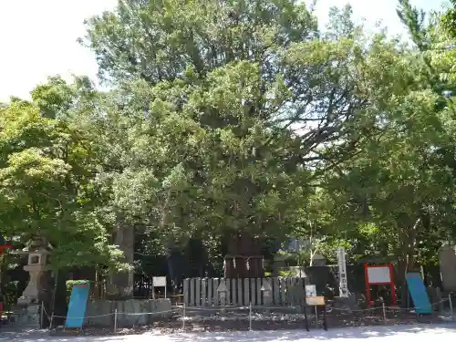 熊野速玉大社のその他建物