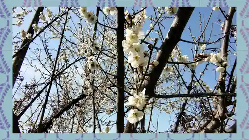 小藤神社(栃木県)