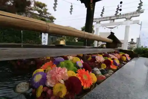 豊景神社の手水