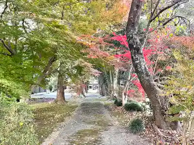 天神神社(滋賀県)