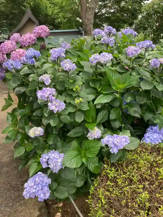 妙楽寺(神奈川県)