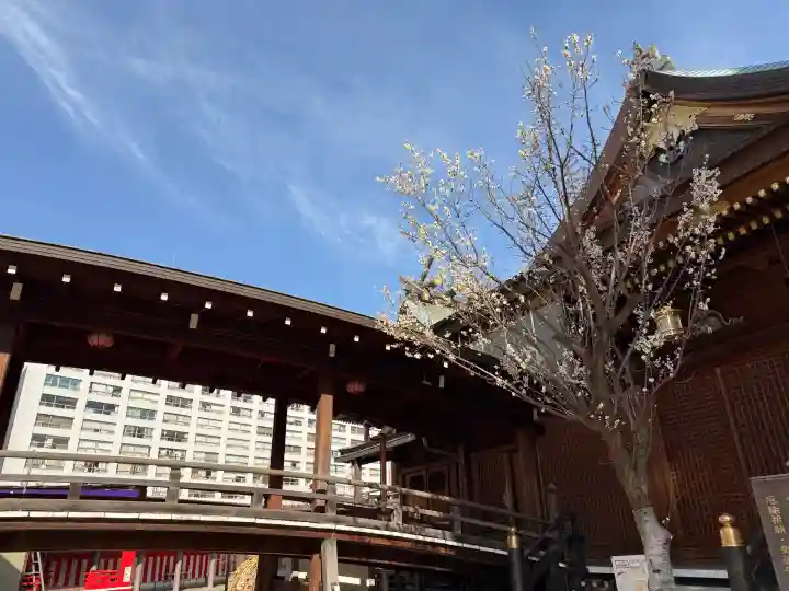 湯島天満宮の{uncategorized: "未分類", other: "その他", undefined: "問題あり", building: "その他建物", grave: "お墓", sacred_gate: "鳥居", guardian: "狛犬", statue: "像", buddha: "仏像", history: "歴史", nature: "自然", garden: "庭園", animal: "動物", pagoda: "塔", temizu: "手水舎", mountain_gate: "山門・神門", sanctuary: "本殿・本堂", subordinate: "末社・摂社", art: "芸術", scenery: "景色", jizo: "地蔵", ema: "絵馬", goshuin: "御朱印", omikuji: "おみくじ", items: "授与品その他", amulet: "お守り", goshuincho: "御朱印帳", eats: "食事", festival: "お祭り", votive_dance: "神楽", shichigosan: "七五三参", wedding: "結婚式", experience: "体験その他", initially: "初詣", around: "周辺", anti_infection: "感染症対策"}