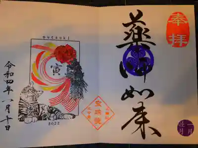 薬師如来
虎猫