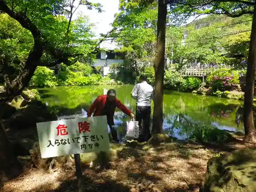 円覚寺の庭園