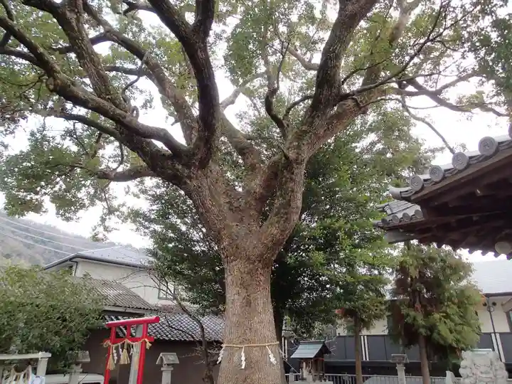 常世岐姫神社の自然