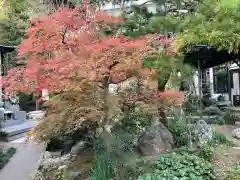 東光禅寺の自然