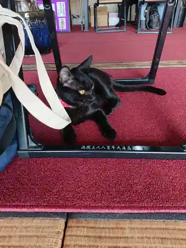 治寶山　浄泉寺の動物