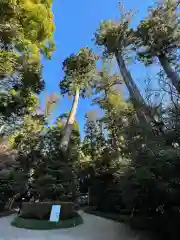 香取神宮(千葉県)