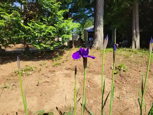 伏木香取神社(茨城県)