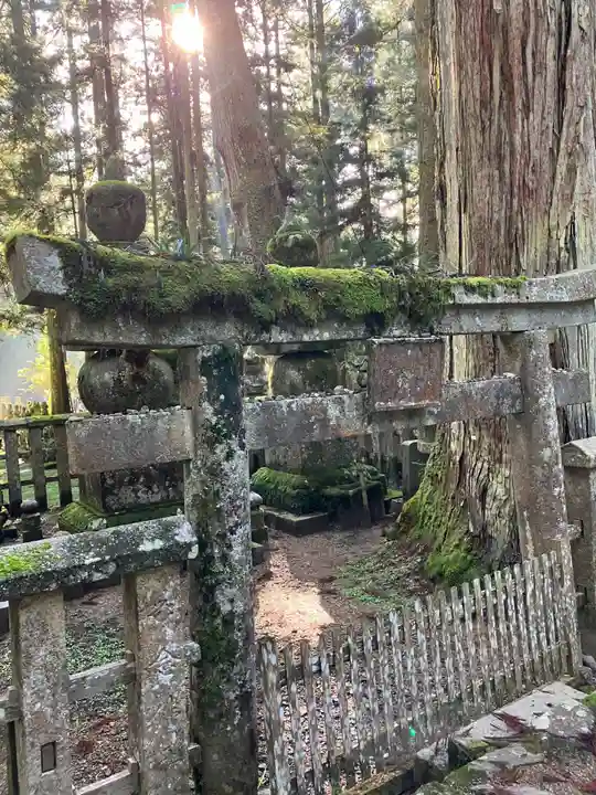高野山金剛峯寺奥の院(和歌山県)