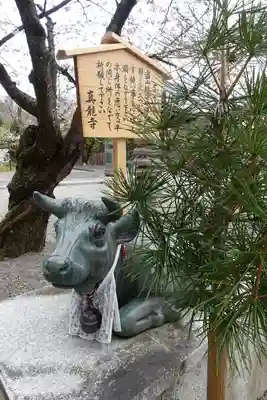 真龍寺の像