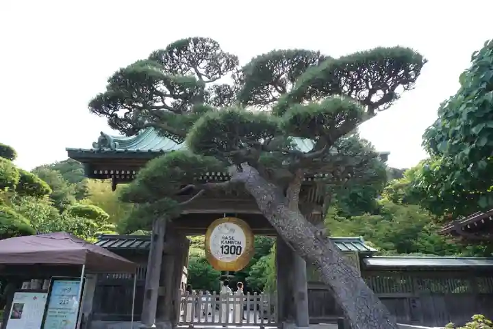 長谷寺の山門・神門