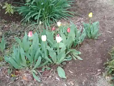 観泉寺(東京都)