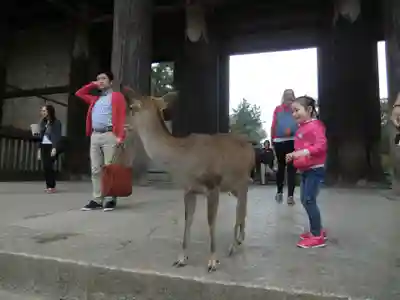 東大寺(奈良県)