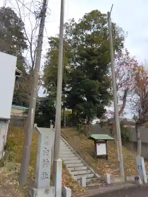 名瀬白神社(神奈川県)