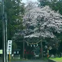 大神神社の自然