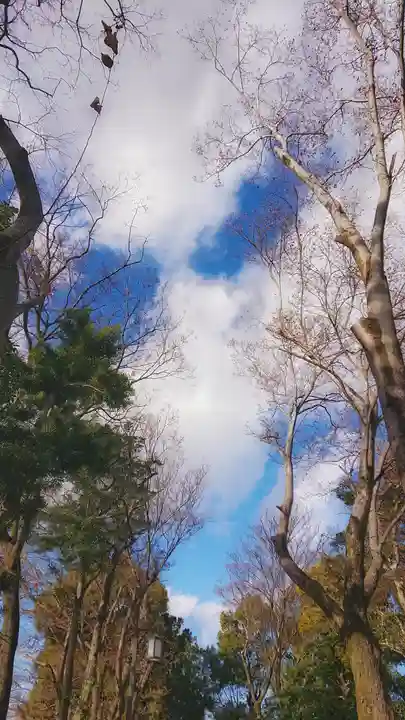 神明社(国府宮神明社)の景色