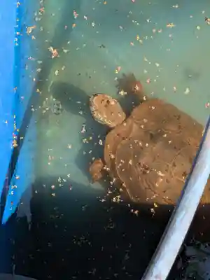 下谷神社(東京都)