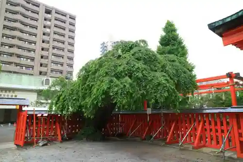 榴岡天満宮の建物その他