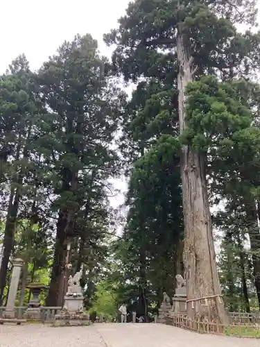 戸隠神社中社(長野県)