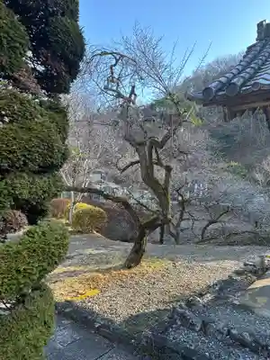 聞修院(東京都)