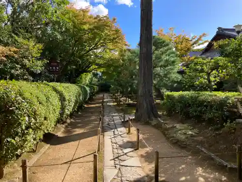 大徳寺(京都府)