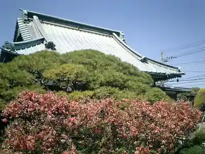 九品寺のその他建物