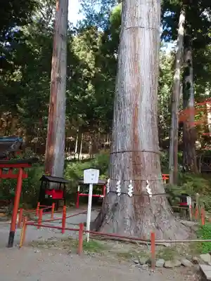 日光二荒山神社(栃木県)