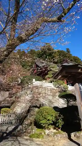 久遠寺の自然