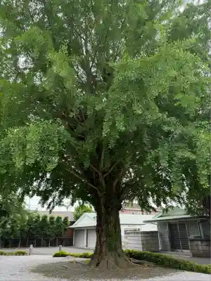 星谷寺(神奈川県)