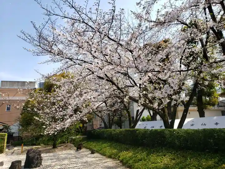 宝仙寺(東京都)