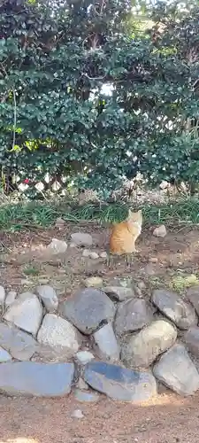 恵林寺(山梨県)